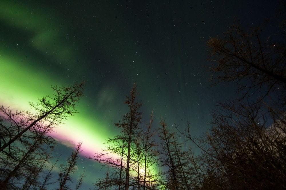 Sundog Retreat Otel Whitehorse Dış mekan fotoğraf