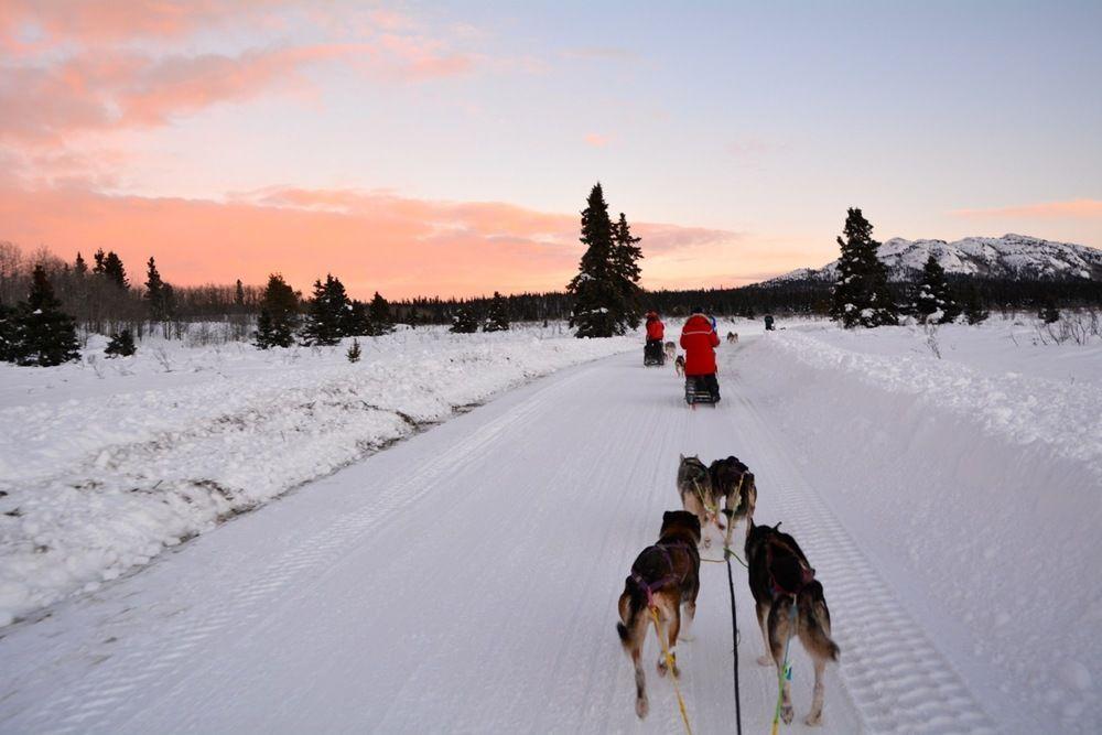 Sundog Retreat Otel Whitehorse Dış mekan fotoğraf