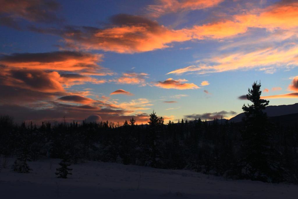 Sundog Retreat Otel Whitehorse Dış mekan fotoğraf