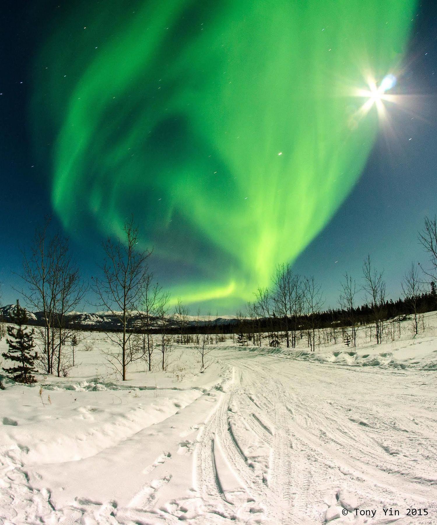 Sundog Retreat Otel Whitehorse Dış mekan fotoğraf