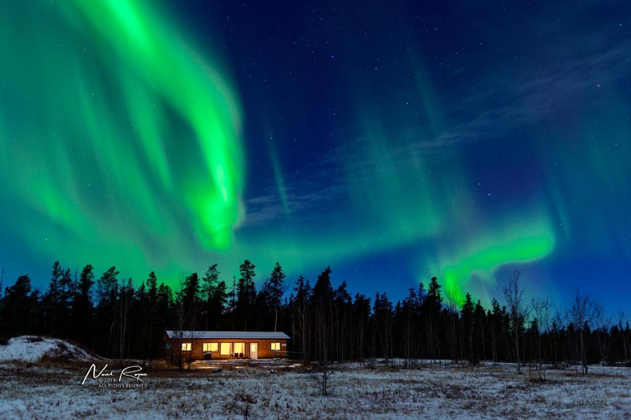 Sundog Retreat Otel Whitehorse Dış mekan fotoğraf